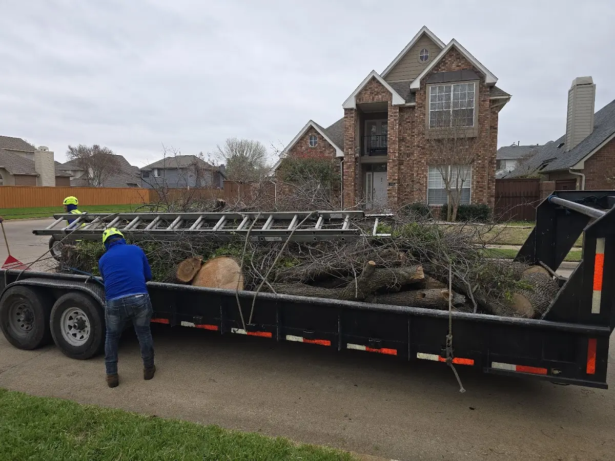 Expert Tree Fertilization with proper safety equipment in Warren